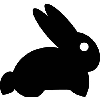 Rabbit!
