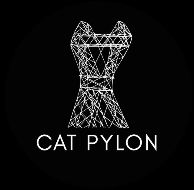 CAT PYLON