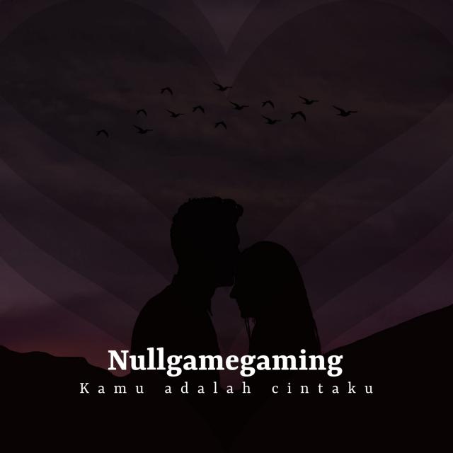 Nullgamegaming