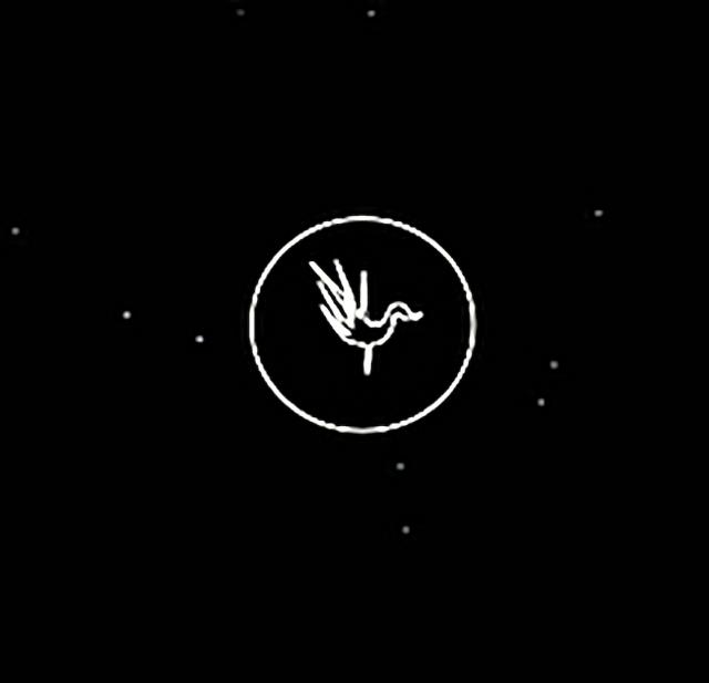 COSMIC BIRD