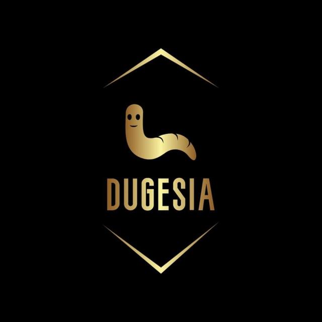 Dugesia