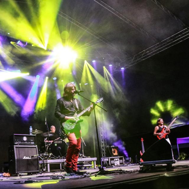 Steve Misik & Co.