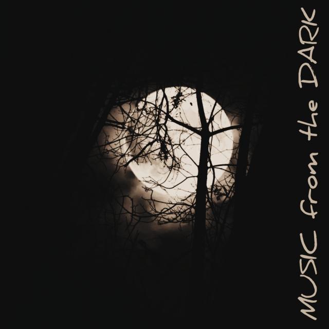 MUSIC FROM THE DARK